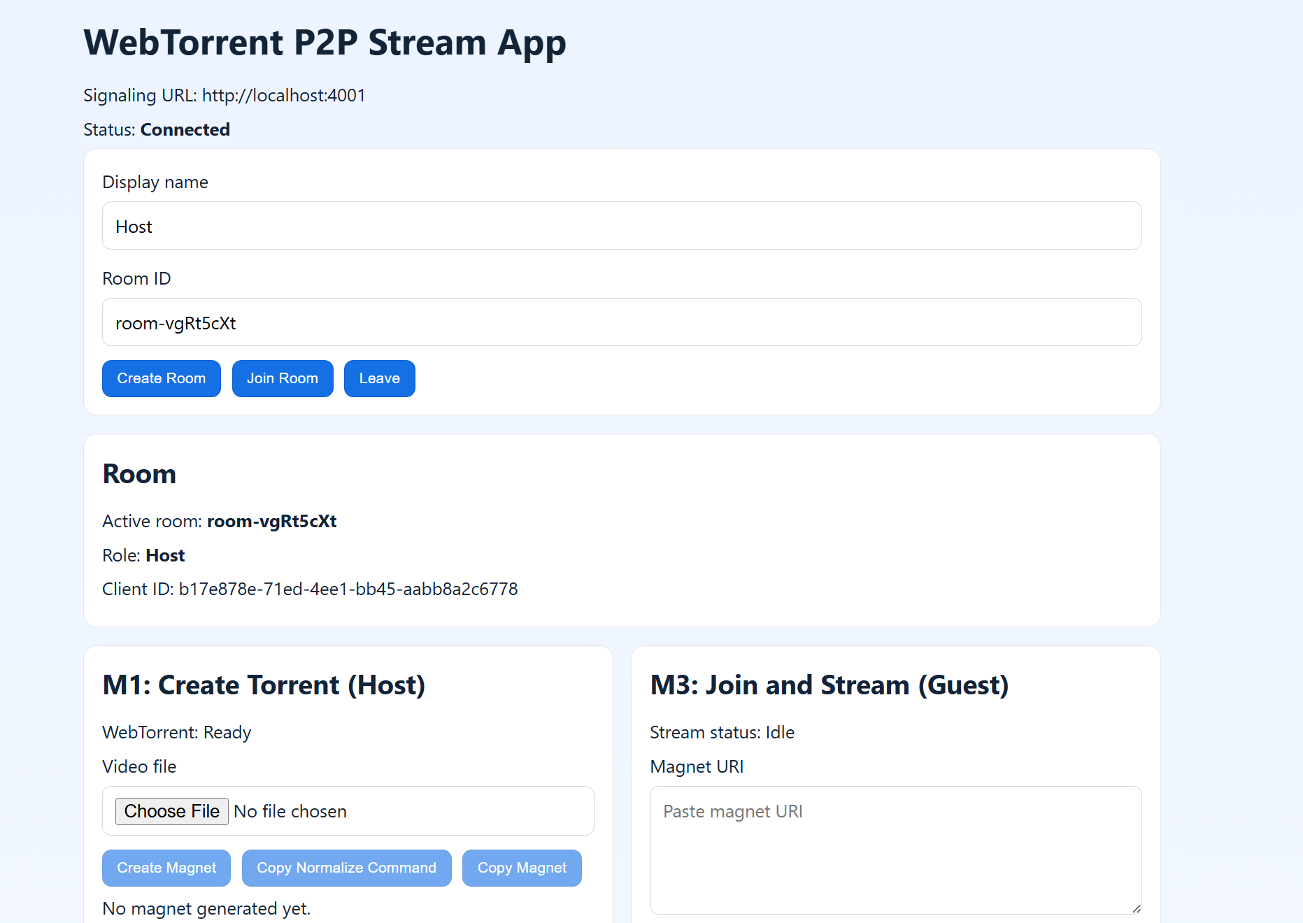 WebTorrent P2P Stream App watch-party streaming interface preview